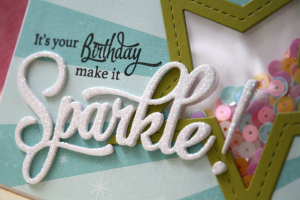 star shaker close up