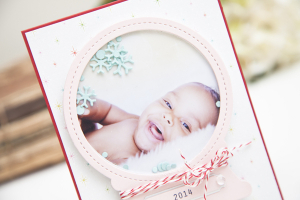 2014 snow globe photo shaker card