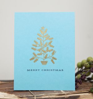 Merry Christmas Card