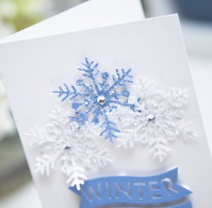 Winter Greetings Card