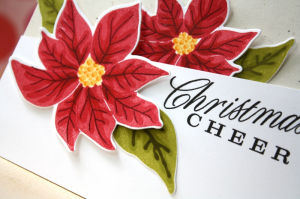 christmas cheer close up