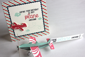 Airplane Birthday Card & Favor