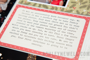 Holiday Family Portrait Details