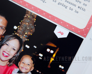 Holiday Family Portrait Details
