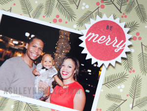 Holiday Family Portrait Details