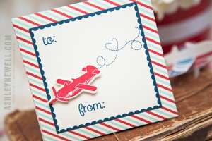 Sweet Plane Valentine