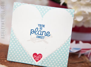 Sweet Plane Valentine