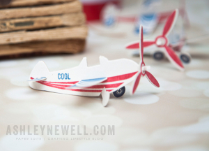 Sweet Plane Valentine