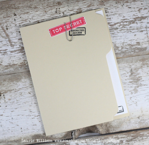 16240601761_af54b4aa41_z