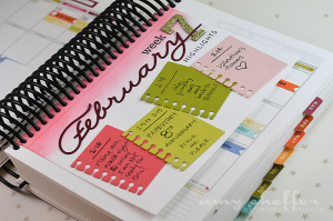 Amy Sheffer - Monthly Moments: Year Round Mini