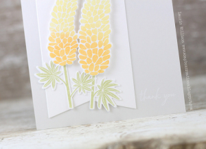 16928116347_4cc7704b7a_z