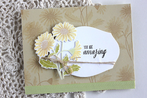 Amazing Daisies Card