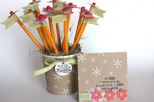 Seeds of Knowledge Projects