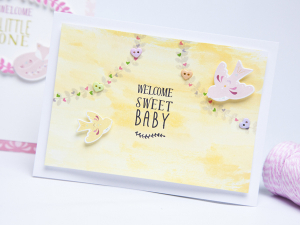 Welcome Sweet Baby
