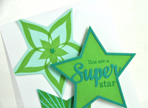 Super Star detail