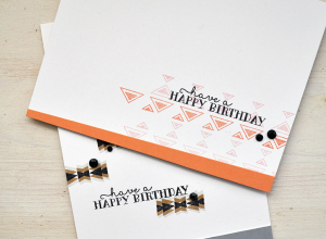 Simple Southwestern Style Duo