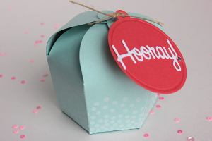 Hooray Cupcake Box