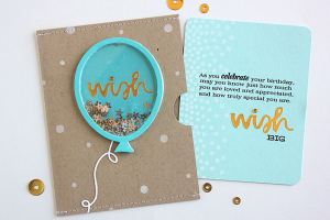 Balloon Wishes Shaker Pocket Card - insert