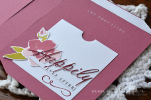 Amy Sheffer - Book Cover Card & Details