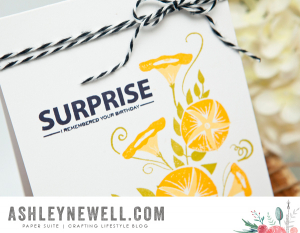Surprise Birthday