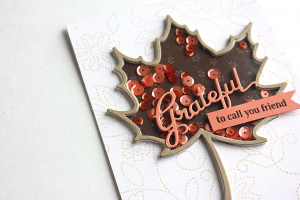 Grateful Friend Shaker Card - detail