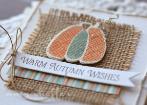 Amy Sheffer - Pumpkin Patch