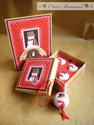 polka-snomen-card_box-open