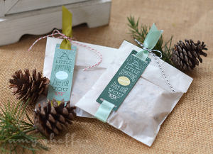 Amy Sheffer - Ribbon Slider Sentiments