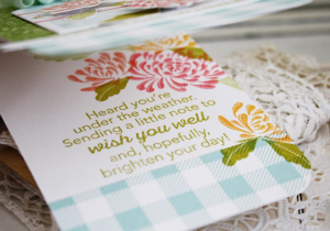 Melissa Phillips - Tucked In:  Get Well