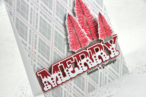 MERRY detail
