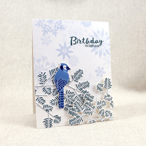 Birthday Bluejay Card