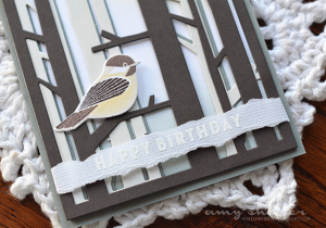 Amy Sheffer - Keep It Simple: Birthday II