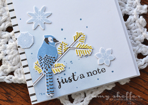 Amy Sheffer - Fab Flakes