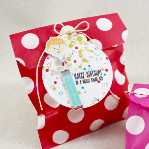Little Boy Birthday Treat Bag