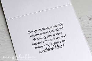 Amy Sheffer - Tucked In: Anniversary