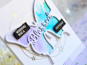 Enclosed Butterfly Card