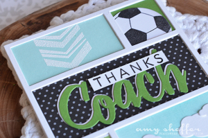 Amy Sheffer - Go For the Goal
