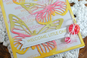 Amy Sheffer - Cover Plate: Butterflies