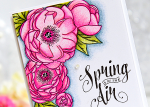 Spring is in The Air