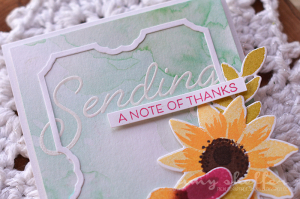 Amy Sheffer - 2016 Anniversary Set: Painted Petals