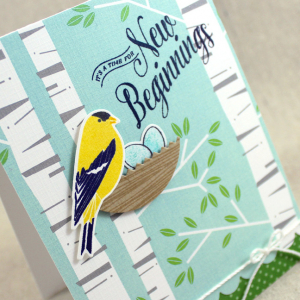 New Beginnings Close Up