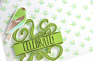 Dawn McVey - Splits: Celebrate