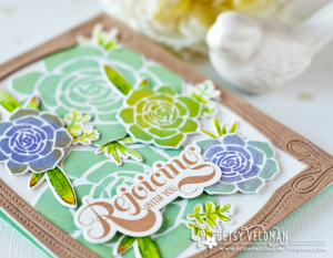 Betsy Veldman - Super Succulents