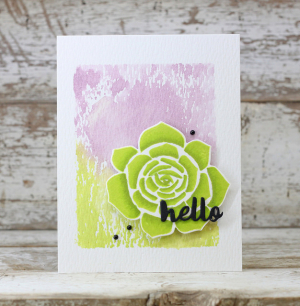 Laurie Willison - Super Succulents