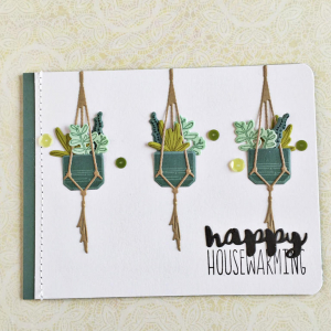 Heather Nichols - Super Succulents