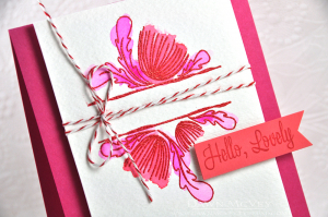 Hello, Lovely detail