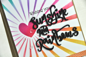 Sunshine and Rainbows detail