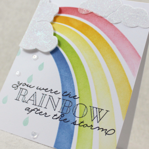 Rainbow After The Storm Close Up