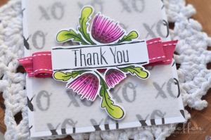 Amy Sheffer - Splits: Thank You