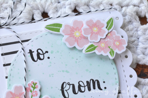 Forget Me Not Enclosure - Detail